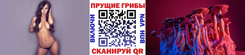 Псилоцибиновые грибы Psilocybe Бийск