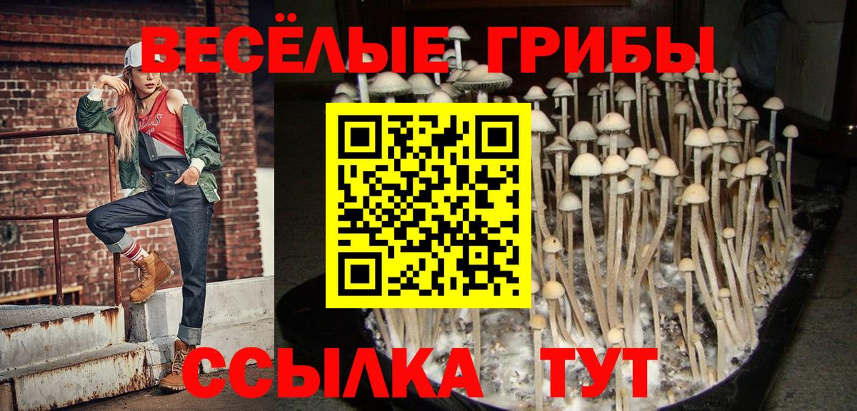 Псилоцибиновые грибы MAGIC MUSHROOMS Бийск