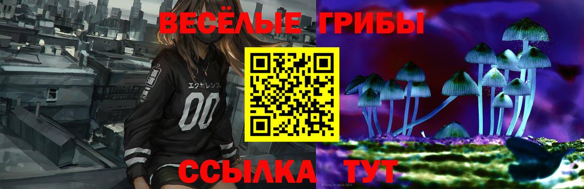 Галлюциногенные грибы MAGIC MUSHROOMS  Бийск  Псилоцибиновые грибы Magic Shrooms 
