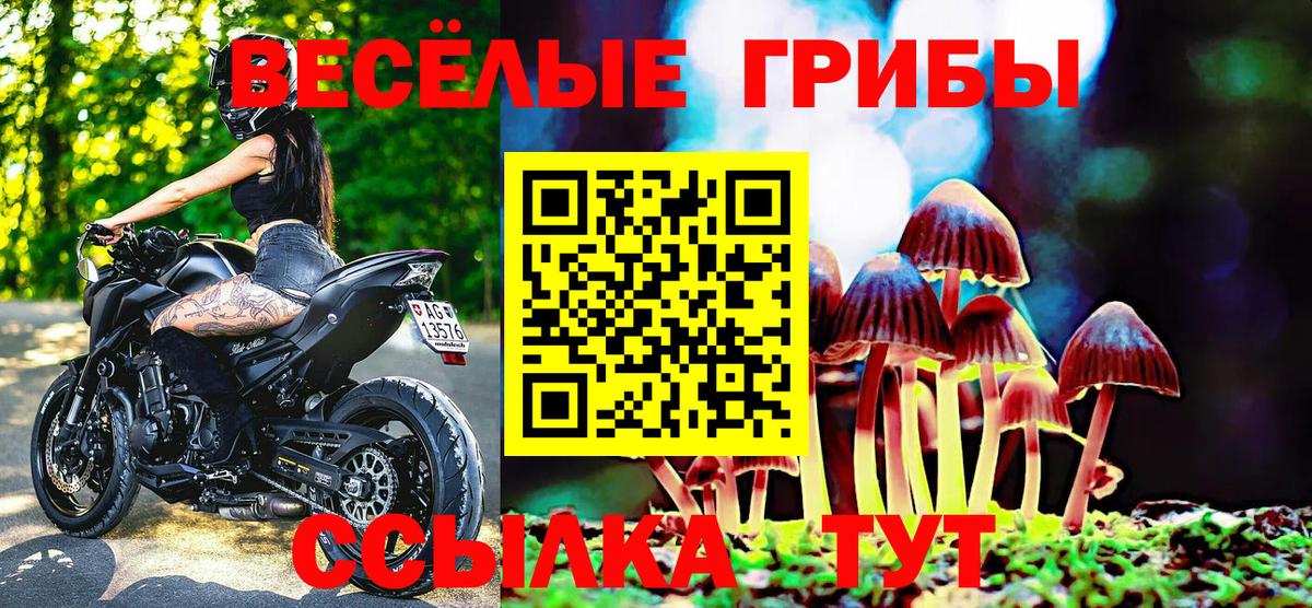 Псилоцибиновые грибы прущие грибы Бийск
